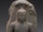 Jina Rishabhanatha Statue