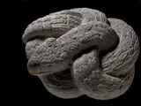 Aztec Feathered Serpent: Quetzalcoatl