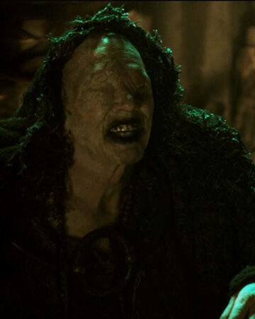 The Seer Historyvikings Wiki Fandom What else has the seer predicted across the series and has it always come true? the seer historyvikings wiki fandom
