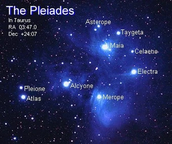 Pleiades system | Hitchhikers | Fandom