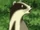 Badger (Character)