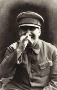 Stalin in his less kinky mood.