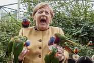 La Merkel cursed
