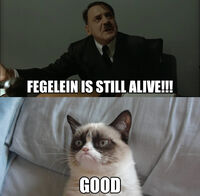 Grumpy Cat Fegelein Still Alive