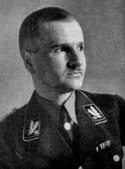 Real life Grawitz. Zero Fat.