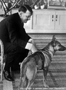 Hitler and Blondi.