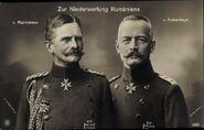 August von Mackensen y Erich von Falkenhayn