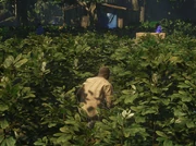 MacMillan Stay Hidden Complication