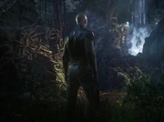 Shadows in the Water