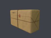 Letterbomb Parcel HITMAN2021