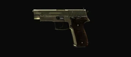 Layla's JAGD P22G