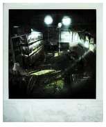 Polaroid of Cosmo's pigeon coop.