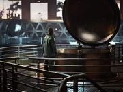 Primary Fermentation