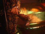 Meaty Bone