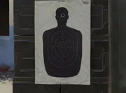 Contractescalation camellia