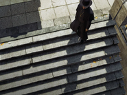 As seen in the escalation tile for The Scarlatti Covenant.