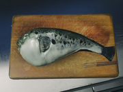 Susumu Fugu Objective