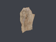 Treasure Map Piece Captain