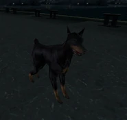 A guard dog in Codename 47.