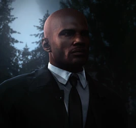 Агент Прайс