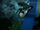 Aquatic Saviour