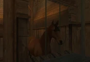 A horse in the stables at Beldingford Manor.