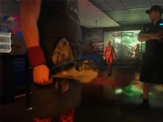 Fish Attack! Challenge