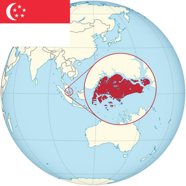 SingaporeMapFlag