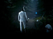 Follow the White Rabbit