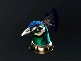 Show-off WoA