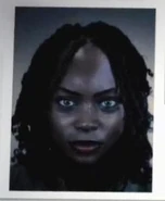 Il profilo di Dixon.