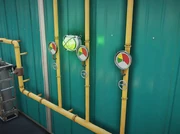 The Triumph Challenge