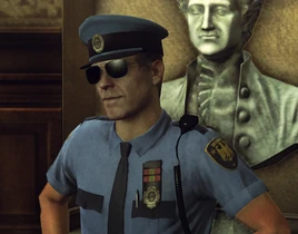 Судебный охранник