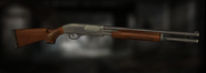 An image of Shotgun