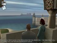 Hannelore's office view.