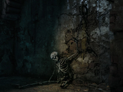 A Bone to Pick