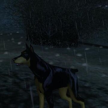 dog hitman wiki fandom