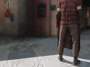 Contractescalation marrakesh honeysuckle