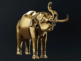 Elephant In the Room WoA