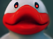 Quacker Than The Eye