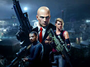 Knight together with Stone and Agent 47.