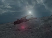 Wood You Believe It?