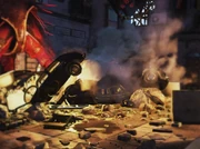 Performance of a Lifetime