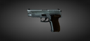 JAGD P22G