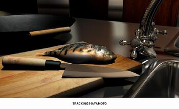 Tracking Hayamoto