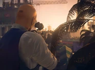 The Dubious Cohabitation.png (469 KB) The Dubious Cohabitation