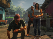 Merle Being Followed Complication