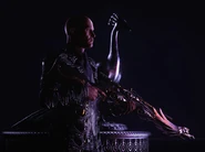 Pride Tile.png (254 KB) The Pride Profusion†