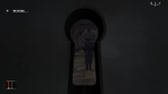 Observing patrols through the keyhole.