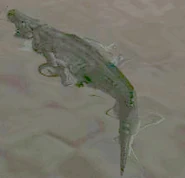 Alligators, as seen during Till Death Do Us Part.